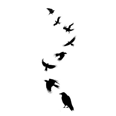 Celtic Crow Design Fake Temporary Water Transfer Tattoo Stickers NO.10216